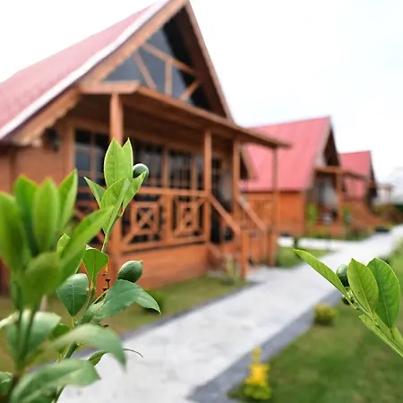 Sunset Suit Bungalov